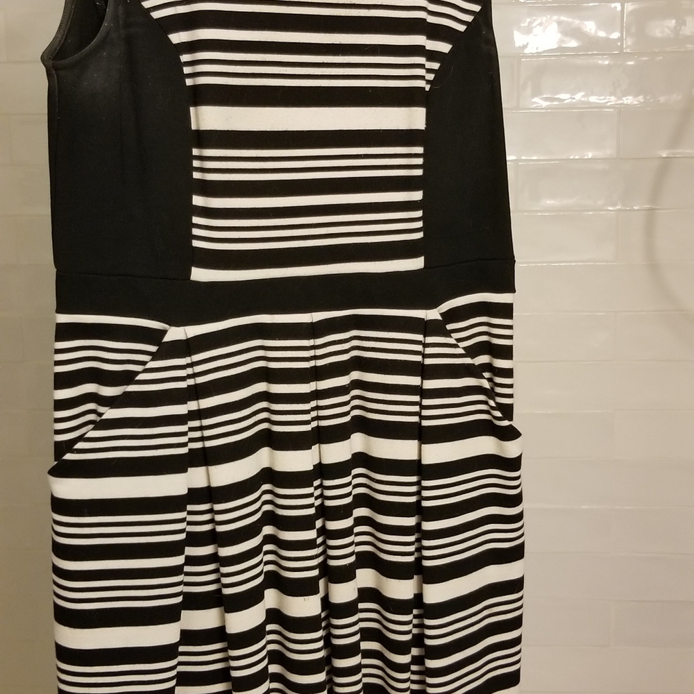 Ann Taylor Loft Dress